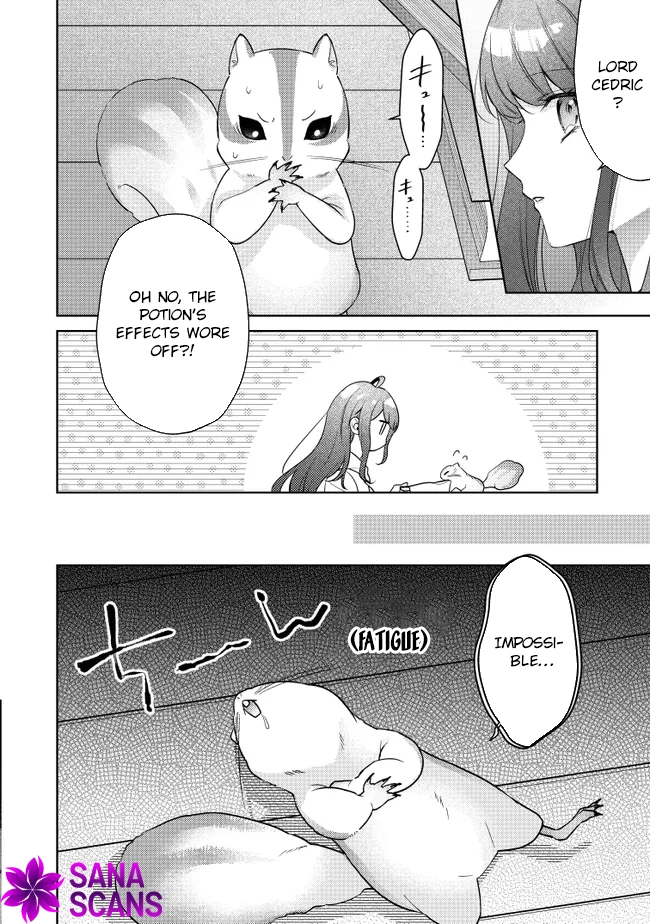 My Fiancé, Who Used to Hate Me, Turned into a Squirrel and Came to Me for Help. Chapter 1 Page 40